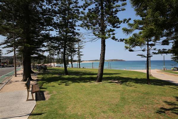 Dee Why Beach and Surrounds (20/11/2015 - Credits: Lisa Scope)