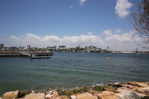 Barangaroo Reserve (25/11/2015)