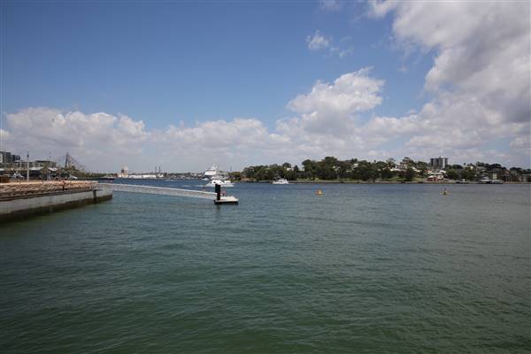 Barangaroo Reserve (25/11/2015)