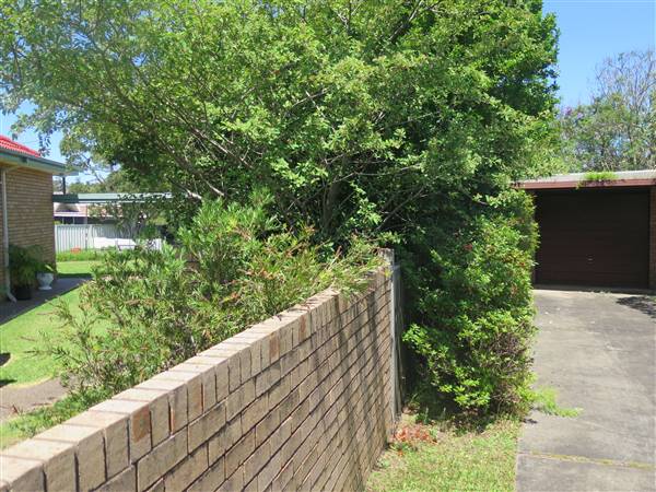 East Corrimal neighbourhood (8/12/2015 - Credits: Peter Hicks)