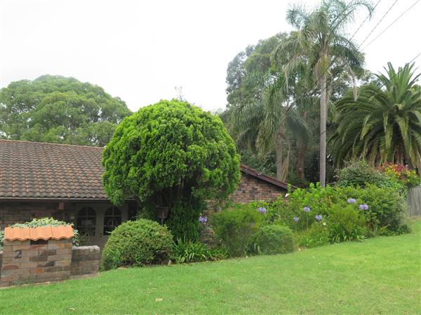 Mona Vale neighborhood (8/12/2015 - Credits: Peter Hicks)
