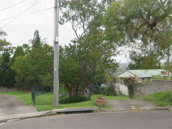 Collaroy neighbourhood - cul-de-sac (8/12/2015 - Credits: Peter Hicks)