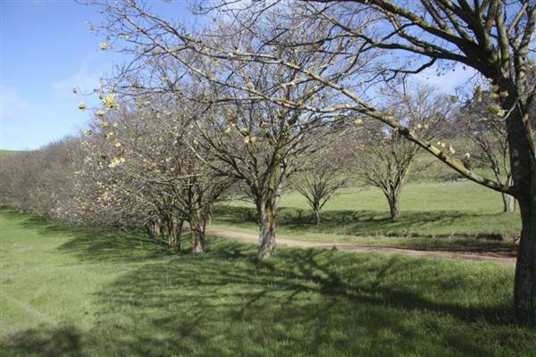 Private House - Crookwell (5/02/2016)