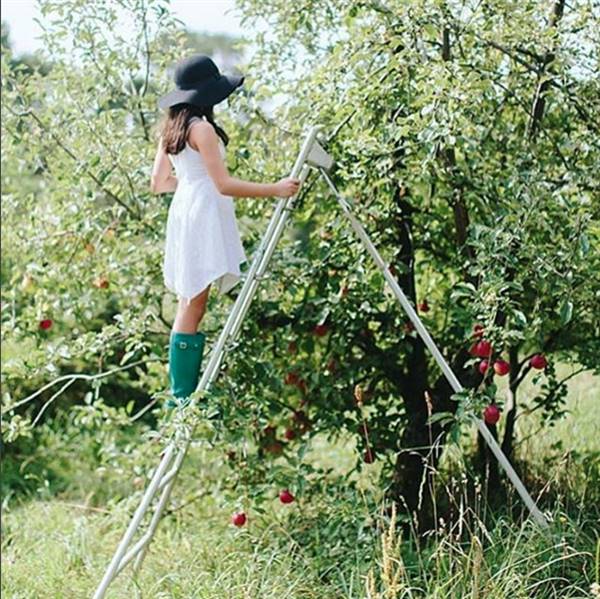 Logan Brae Orchard (17/04/2015)