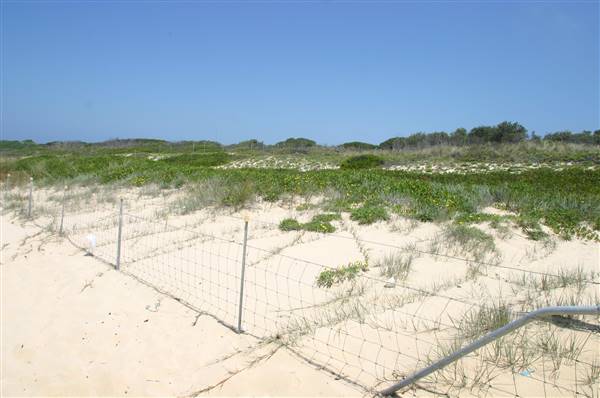 South Maroubra Beach (2/02/2006 - Credits: Lisa Scope)