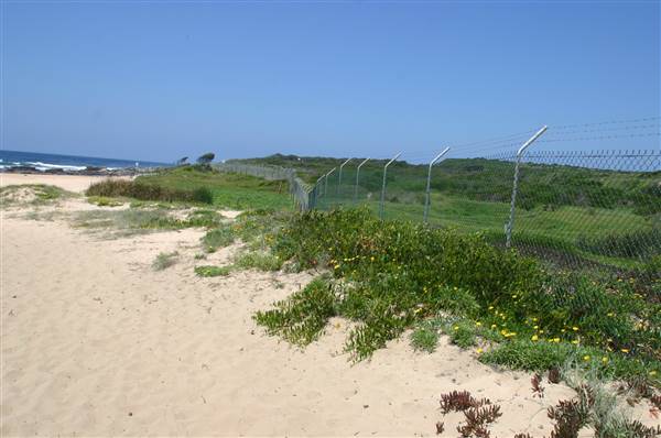 South Maroubra Beach (2/02/2006 - Credits: Lisa Scope)