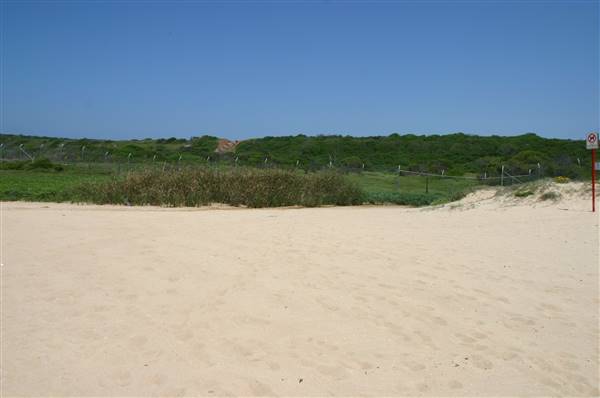 South Maroubra Beach (2/02/2006 - Credits: Lisa Scope)