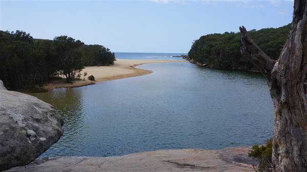 Wattamolla Beach (1/07/2016 - Credits: Mary Barltrop)
