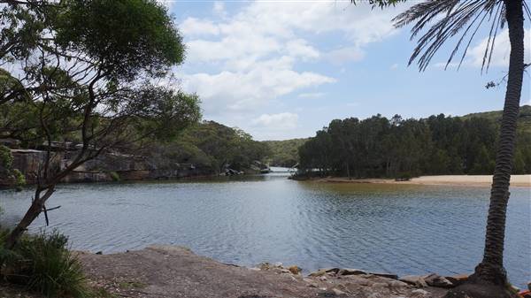 Wattamolla Beach (1/07/2016 - Credits: Mary Barltrop)
