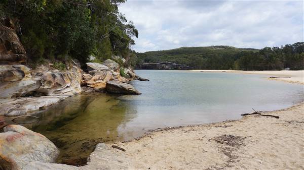 Wattamolla Beach (1/07/2016 - Credits: Mary Barltrop)
