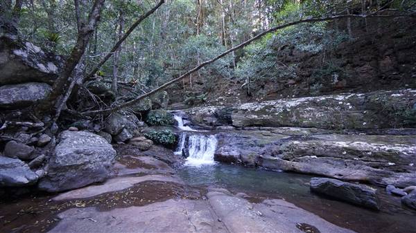 Minnamurra Rainforest Walk - Budderoo National Park (2/07/2016 - Credits: Mary Barltrop)