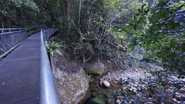 Minnamurra Rainforest Walk - Budderoo National Park (2/07/2016 - Credits: Mary Barltrop)