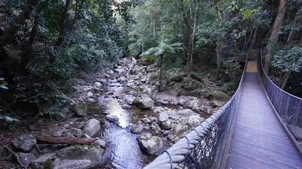 Minnamurra Rainforest Walk - Budderoo National Park (2/07/2016 - Credits: Mary Barltrop)