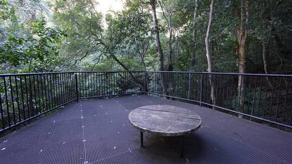 Minnamurra Rainforest Walk - Budderoo National Park (2/07/2016 - Credits: Mary Barltrop)
