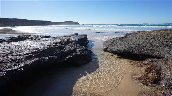 Frazer Beach Campground - Munmorah State Conservation Area (4/07/2016 - Credits: Mary Barltrop)