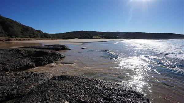 Frazer Beach Campground - Munmorah State Conservation Area (4/07/2016 - Credits: Mary Barltrop)