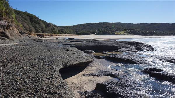 Frazer Beach Campground - Munmorah State Conservation Area (4/07/2016 - Credits: Mary Barltrop)
