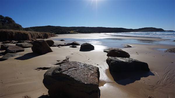 Frazer Beach Campground - Munmorah State Conservation Area (4/07/2016 - Credits: Mary Barltrop)