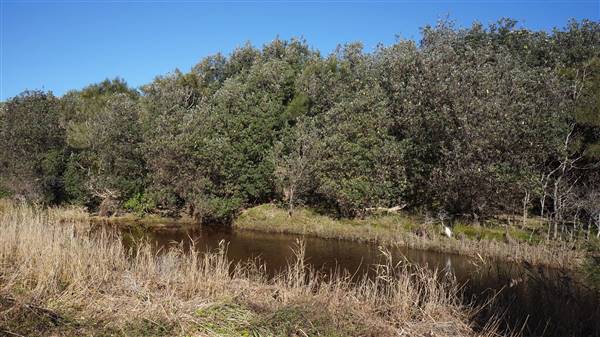 Frazer Beach Campground - Munmorah State Conservation Area (4/07/2016 - Credits: Mary Barltrop)