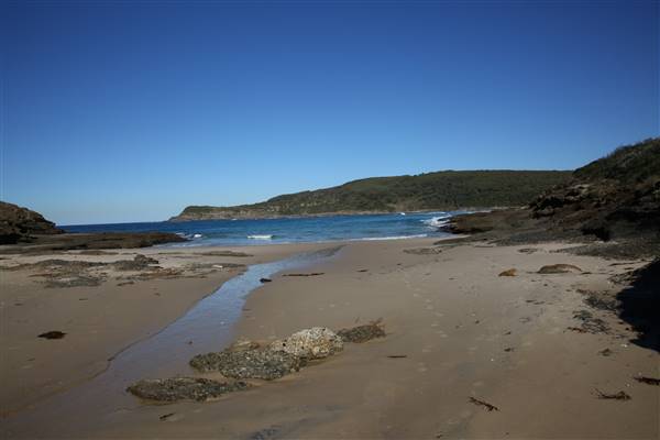 Munmorah State Conservation Area - Snapper Pt and Bongon Beach (4/07/2016)