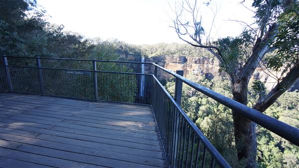 Fitzroy Falls & Twin Falls - Morton National Park (4/07/2016 - Credits: Mary Barltrop)