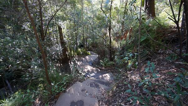 Somersby Falls picnic area - Brisbane Water National Park (4/07/2016 - Credits: Mary Barltrop)