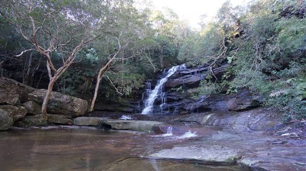 Somersby Falls picnic area - Brisbane Water National Park (4/07/2016 - Credits: Mary Barltrop)