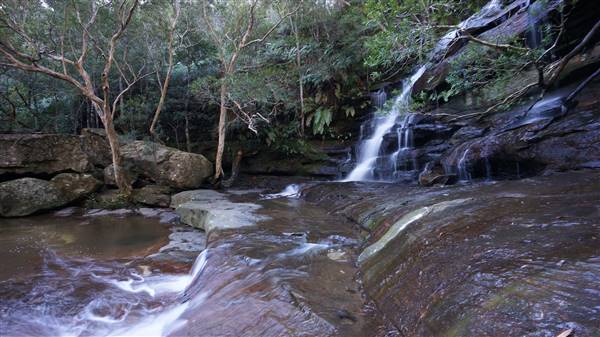 Somersby Falls picnic area - Brisbane Water National Park (4/07/2016 - Credits: Mary Barltrop)