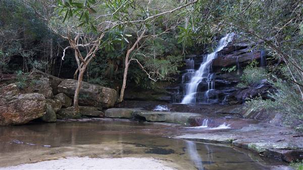 Somersby Falls picnic area - Brisbane Water National Park (4/07/2016 - Credits: Mary Barltrop)