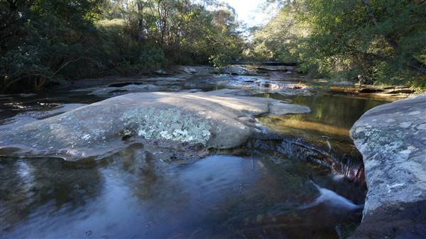Somersby Falls picnic area - Brisbane Water National Park (4/07/2016 - Credits: Mary Barltrop)
