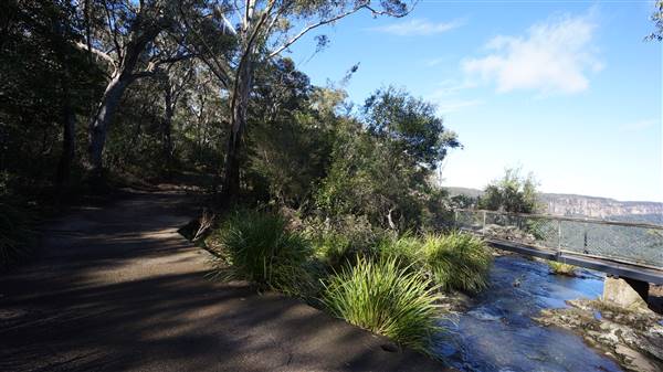 Fitzroy Falls & Twin Falls - Morton National Park (4/07/2016 - Credits: Mary Barltrop)