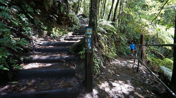 Katoomba Falls Reserve Walk & Tourist Park (5/07/2016 - Credits: Mary Barltrop)