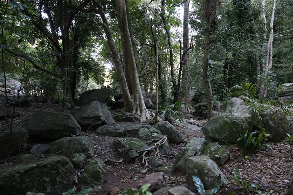 Mount Keira Scout Camp File 1 (5/07/2016)