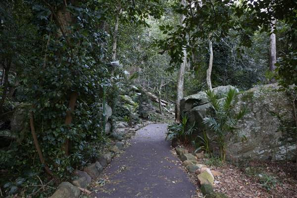 Mount Keira Scout Camp File 1 (5/07/2016)
