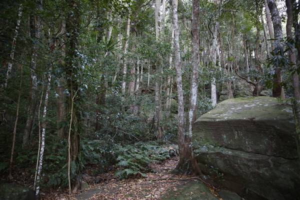 Mount Keira Scout Camp File 1 (5/07/2016)