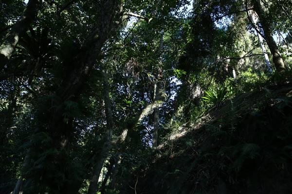 Mount Keira Scout Camp File 1 (5/07/2016)