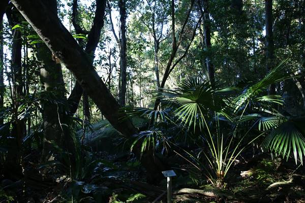 Mount Keira Scout Camp File 1 (5/07/2016)