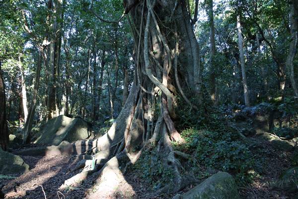 Mount Keira Scout Camp File 1 (5/07/2016)