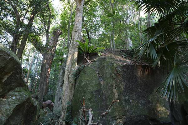 Mount Keira Scout Camp File 1 (5/07/2016)