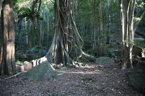Mount Keira Scout Camp File 1 (5/07/2016)
