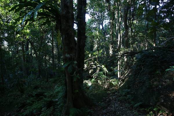 Mount Keira Scout Camp File 1 (5/07/2016)