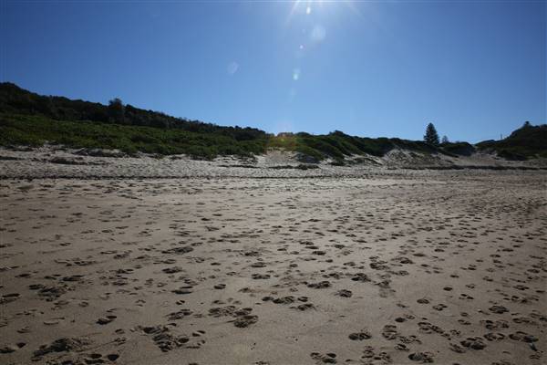 Caves Beach North (18/07/2016)