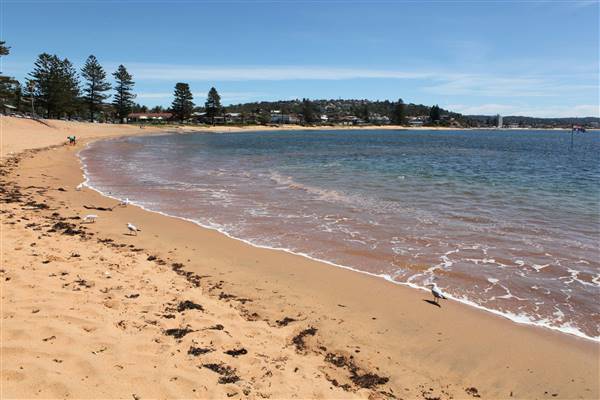 Fisherman's Beach (15/10/2016 - Credits: John Harris)
