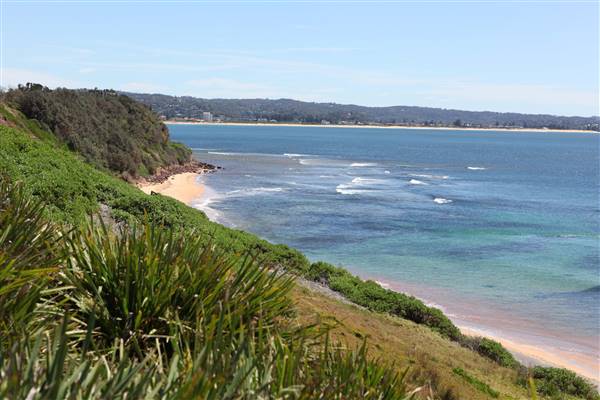 Long Reef Beach (15/10/2016 - Credits: John Harris)