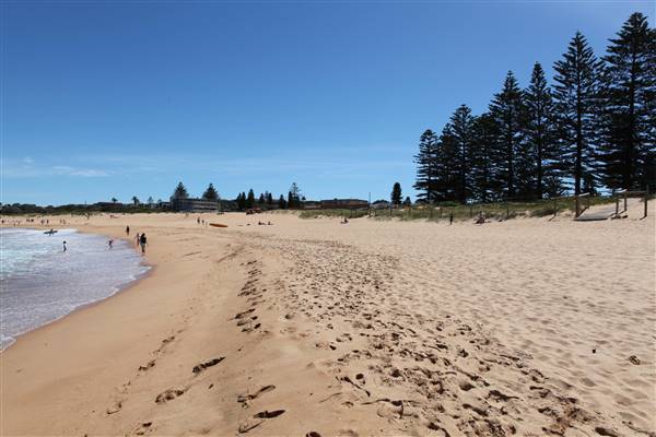 Mona Vale Beach (16/10/2016 - Credits: John Harris)