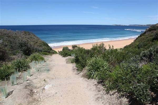 Turimetta Beach (16/10/2016 - Credits: John Harris)