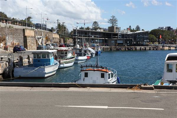 Wollongong - Foreshore and Wharf (26/10/2016 - Credits: John Harris)