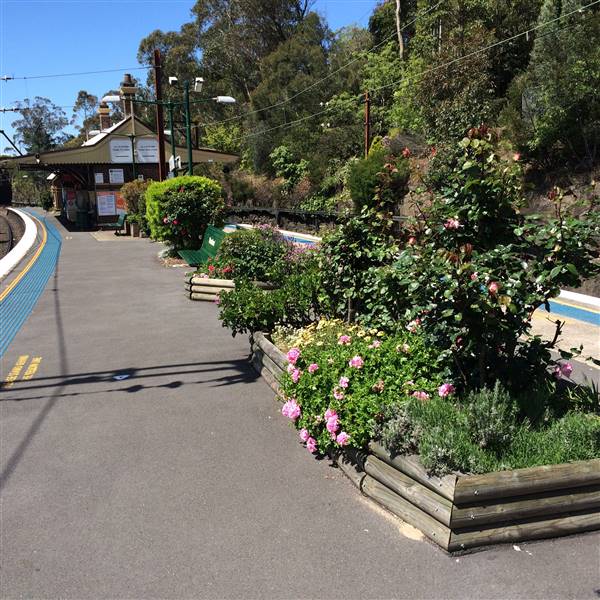 Woodford Railway Station (26/10/2016)