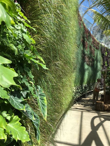 The Calyx - Royal Botanic Garden Sydney (11/11/2016)