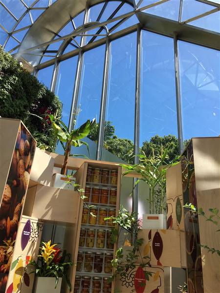 The Calyx - Royal Botanic Garden Sydney (11/11/2016)